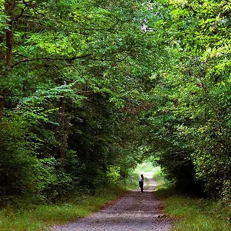 Castello Apartamento Volterra